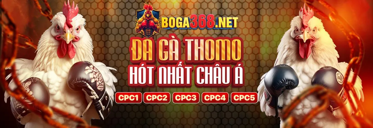 S666 Lừa Đảo 2026: Cá Cược Thể Thao An Toàn & Ưu Đãi Vượt Trội