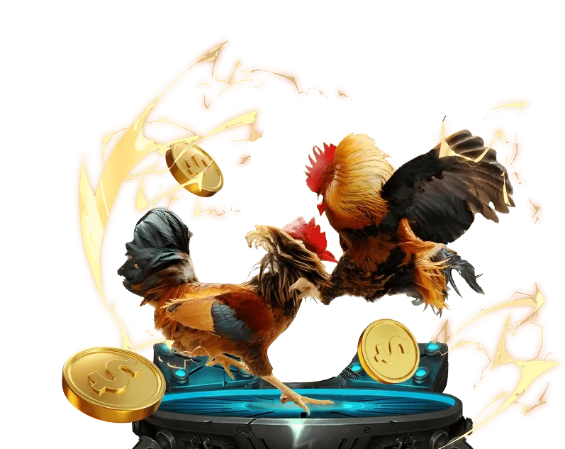 Hoàn trả hàng ngày cho casino và thể thao